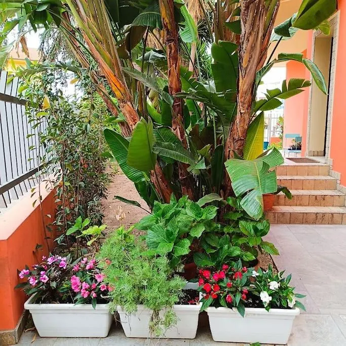 Casa Vacanze In Villa Decimomannu